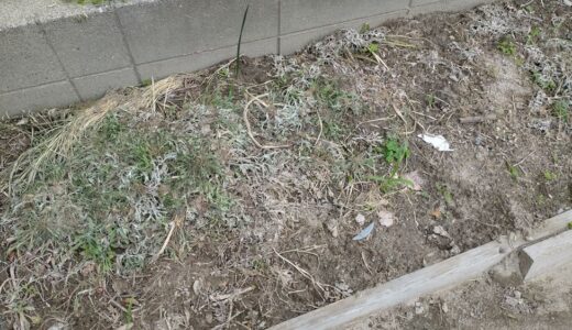 畑の隅で堆肥を仕込んでいる。米ぬかと雑草で「ふかふかの土」を作る、素人なりのやり方。